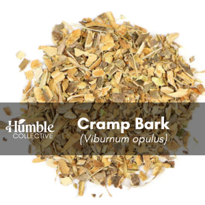 Cramp Bark (wildcrafted) — 2 oz