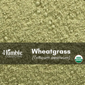 Wheatgrass Powder (organic) — 2 oz