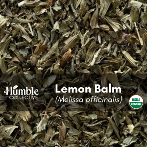 Lemon Balm (wildcrafted) — 2 oz