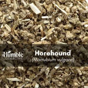 Horehound — 2 oz