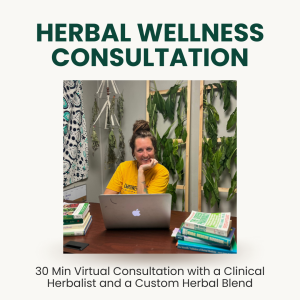 Herbal Wellness Consultation graphic showing an herbalist at a desk with a laptop and herb books.