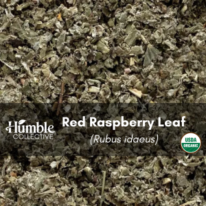Red Raspberry Leaf (organic) — 2 oz
