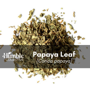 Papaya Leaf — 2 oz