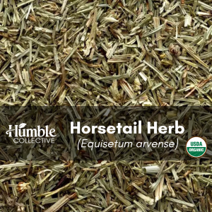 Horsetail (organic) — 2 oz