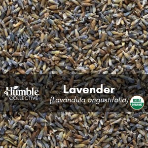 Lavender (organic) — 2 oz
