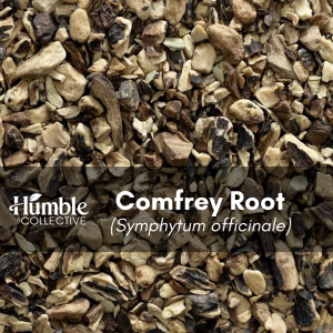 Comfrey Root — 2 oz