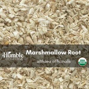 Marshmallow Root — 2 oz