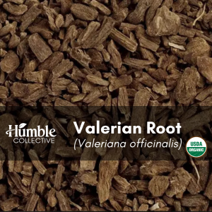 Valerian Root (organic) — 2 oz
