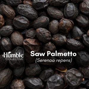 Saw Palmetto Berries — 2 oz