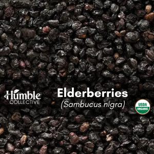 Elderberry (organic) — 2 oz