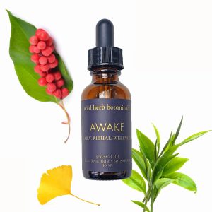 Wild Herb Botanicals Awake CBD Oil dropper bottle surrounded by schisandra berries, tea and ginkgo leaves.