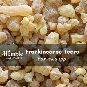 Frankincense Tears — 2 oz