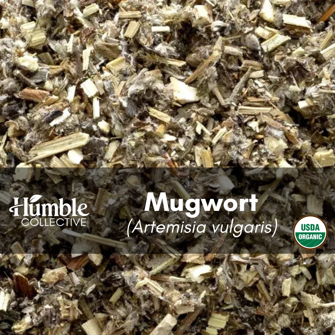 Mugwort (organic) — 2 oz