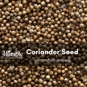 Coriander Seed (whole) — 2 oz
