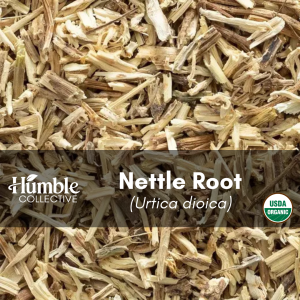 Nettle Root (organic) — 2 oz