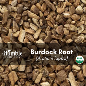 Burdock Root (organic) — 2 oz