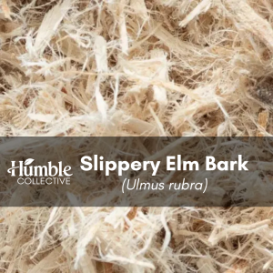 Slippery Elm Bark — 2 oz