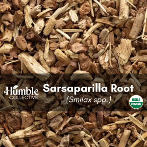 Sarsaparilla Root (organic) — 2 oz
