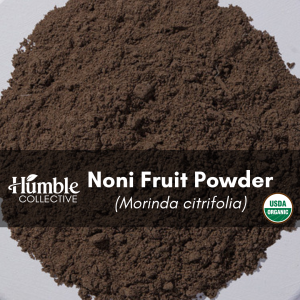 Noni Fruit Powder (organic) — 2 oz