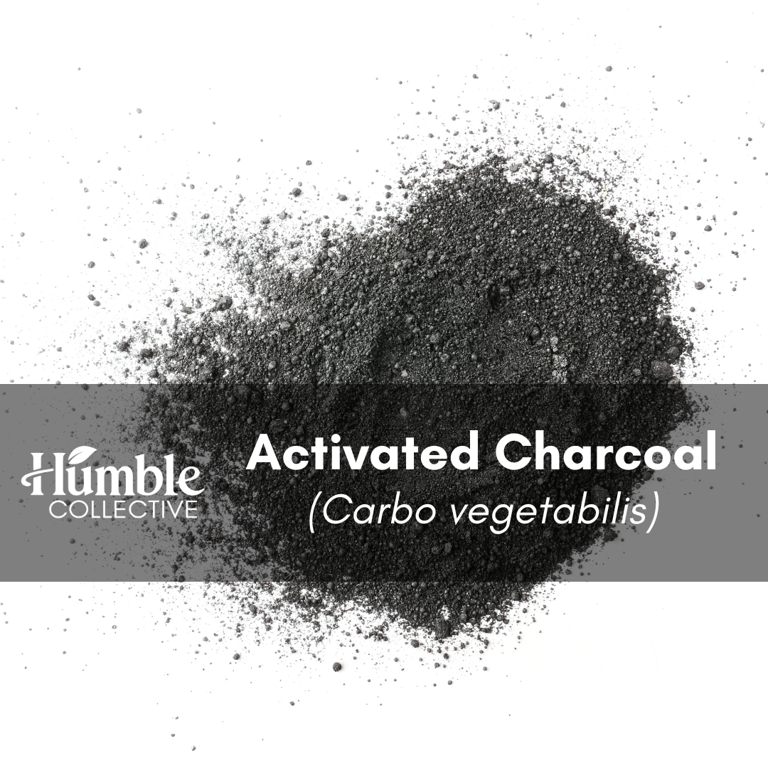 Activated Charcoal Powder — 2 oz