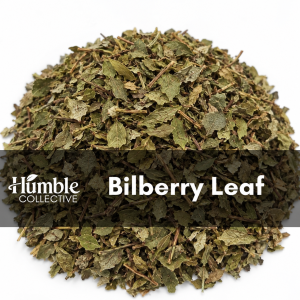 Bilberry Leaf — AI-generated representative image of dried bulk herb