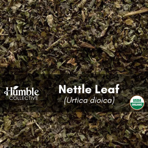 Nettle Leaf (organic) — 2 oz