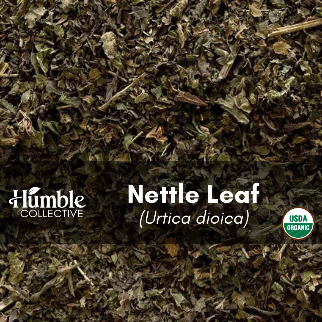 Nettle Leaf (organic) — 2 oz