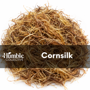 Cornsilk — AI-generated representative image of dried bulk herb