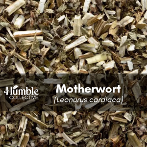 Motherwort — 2 oz