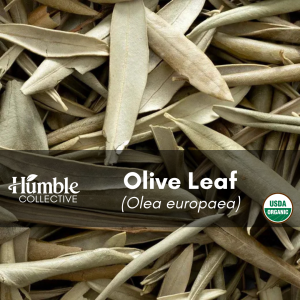 Olive Leaf (organic) — 2 oz