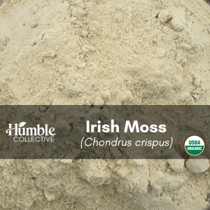 Irish Moss Powder (organic) — 2 oz