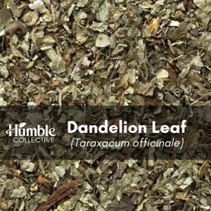 Dandelion Leaf — 2 oz