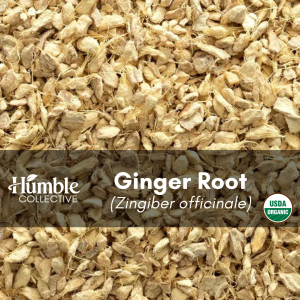 Ginger Root diced (organic) — 2 oz