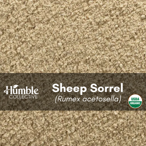 Sheep Sorrel (organic) — 2 oz