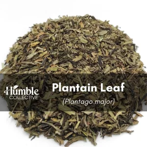 Plantain dried herb, 2 oz